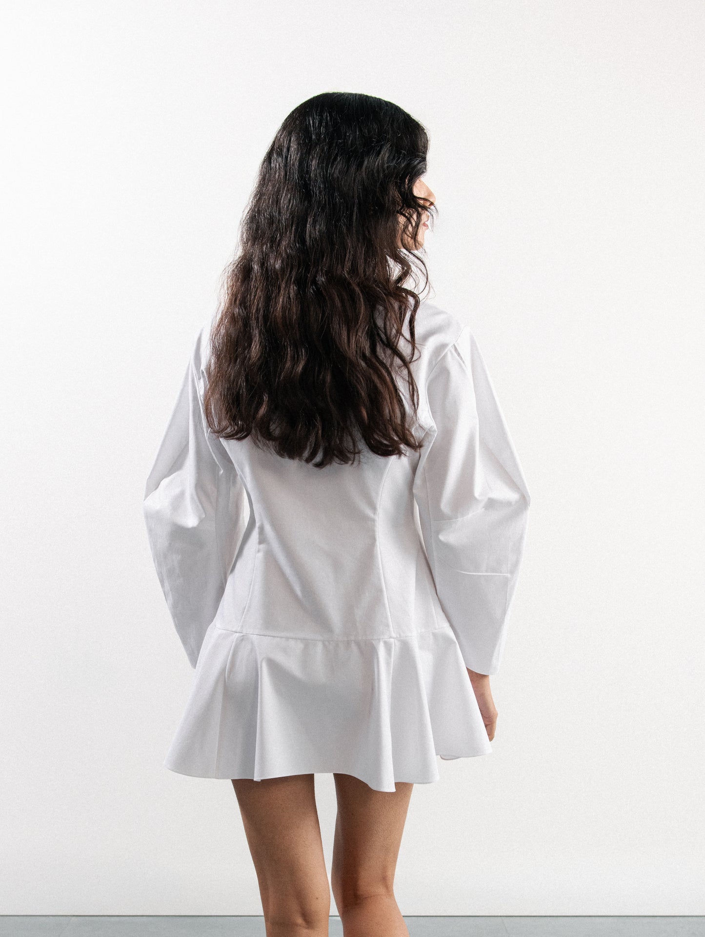 BALLOON SLEEVE DRESS